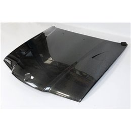 Capó Carbono BMW E36 4P