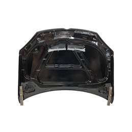 Capó Carbono Volkswagen Golf 5 Ct