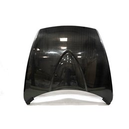 Capó Carbono Mazda RX8 S/T