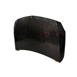 Capó Carbono Mercedes W176 2012-2015