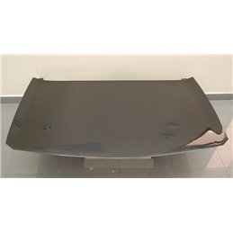 Capó Carbono Renault Megane 2003 S/T