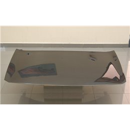 Capó Carbono Renault Megane 2003 S/T