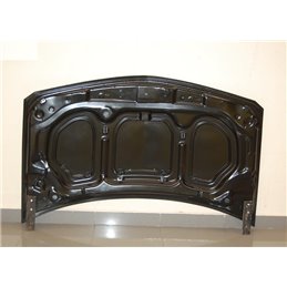 Capó Carbono Renault Megane 2003 S/T