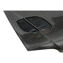 Capó Carbono BMW E46 Look M3 GTR