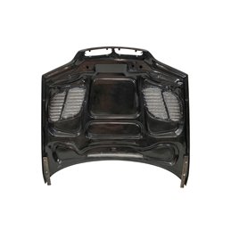 Capó Carbono BMW E46 Look M3 GTR