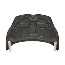 Capó Carbono Ford Fiesta 2009-2013 Hatchback
