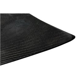 Portón Carbono BMW E46 99-05 2P/ E46 Look M3 CSL