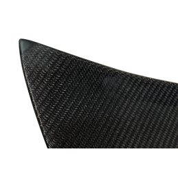 Portón Carbono BMW E46 99-05 2P/ E46 Look M3 CSL