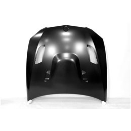 Capó BMW E92 / E93 10-13 LCI Look M3 GTR Metal