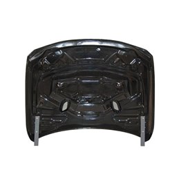 Capó Carbono BMW F30 / F31 / F32 / F33 / F36 Look GTR