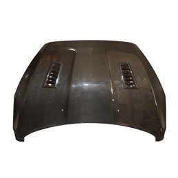 Capó Carbono Ford Focus 2015-2018