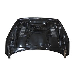 Capó Carbono Ford Focus 2015-2018