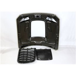 Capó Ford Mustang Look GT500 15-17 Aluminio