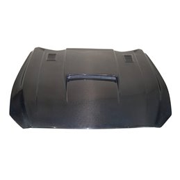 Capó Carbono Ford Mustang 2015-2017 Look GT-350-R