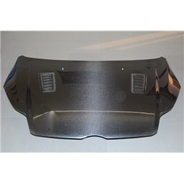Capó Carbono Ford Focus 2012-2015 RS