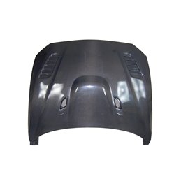 Capó Carbono BMW F20/F21 2012-2019  /  F22/F23 2014+ / F87 Look M3