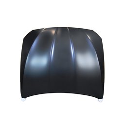 Capó BMW F10 / F11 10-16 Aluminio