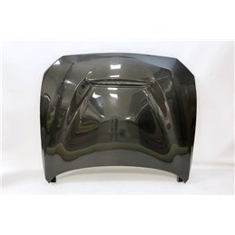 Capó Carbono Bmw F20/F21 2012-2019  /  F22/F23 2014+ Look M3 / F87 Look GTS