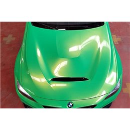 Capó BMW F30 /F31/F32/F33/F36 Look GTS