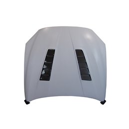 Capó De Fibra BMW F12 / F13 Toma Carbono