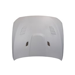 Capó De Fibra BMW F10 look GTR