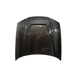 Capó Carbono Nissan Skyline R33 95 GTR C/Toma