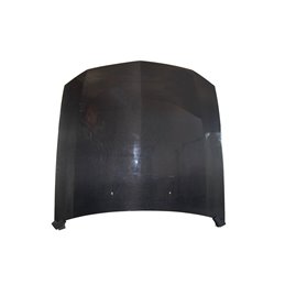 Capó Carbono Ford Mustang '05-'07