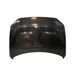 Capó Carbono Mitsubishi Lancer Evo X