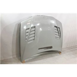 Capó Fibra BMW E46 '98-2001 2P.GTR