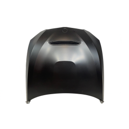 Capó BMW E92 / E93 10-13 LCI Look GTS Metal