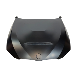 Capó BMW E92 / E93 10-13 LCI Look GTS Metal