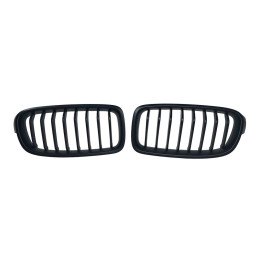 Parrilla BMW F30 Mod II