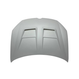 Capó Fibra Volkswagen Golf 6