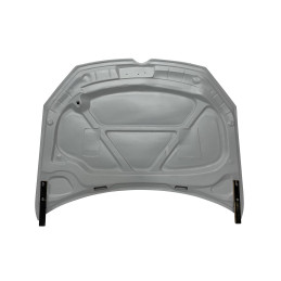 Capó Fibra Volkswagen Golf 6