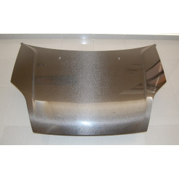 Capó Carbono Ford Fiesta '02 S/T