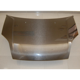 Capó Carbono Ford Fiesta '02 S/T