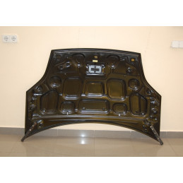 Capó Carbono Ford Fiesta '02 S/T