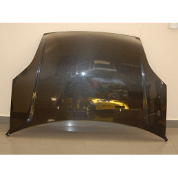 Capó Carbono Ford Fiesta '02 S/T