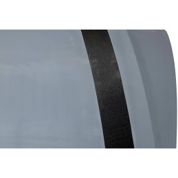 Capó De Fibra y Carbono Audi A6 C8 Look RS6 GT